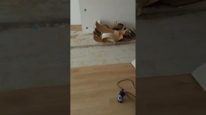 SPC плитка на клей - сюрприз за большие деньги