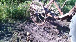 #Картошка#Дача Как быстро копать картошку трактором Т-25 Своими руками.