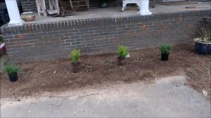 Front Yard Landscaping Project on a Budget