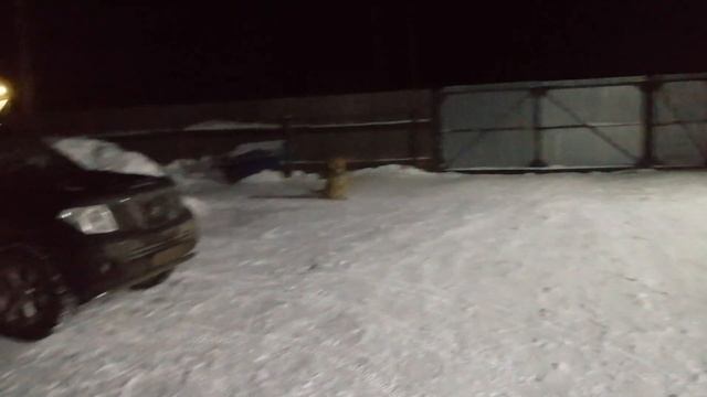 Из больницы домой , пора заниматься деревенскими делами. смотреть онлайн