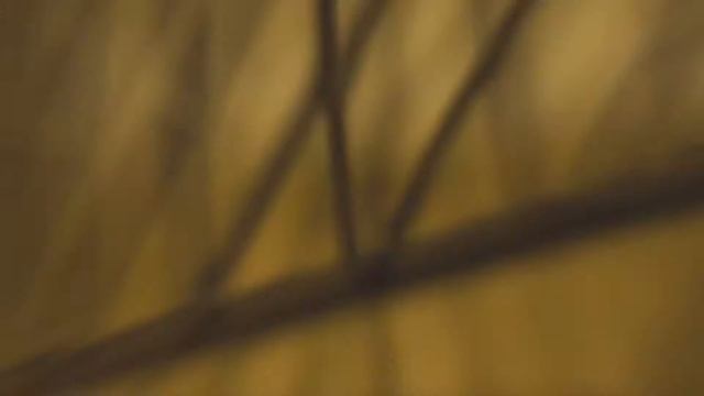 Коллекция интерьерного освещения POMPEYA смотреть онлайн