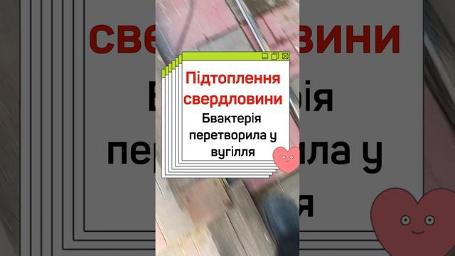 Підтоплення свердловини і засор свердловини землею  Бактерія превратила насос у вугіль