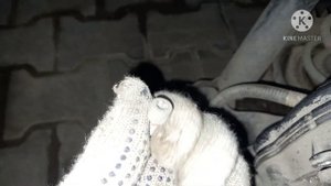 Заклинил ручник , будьте готовы.