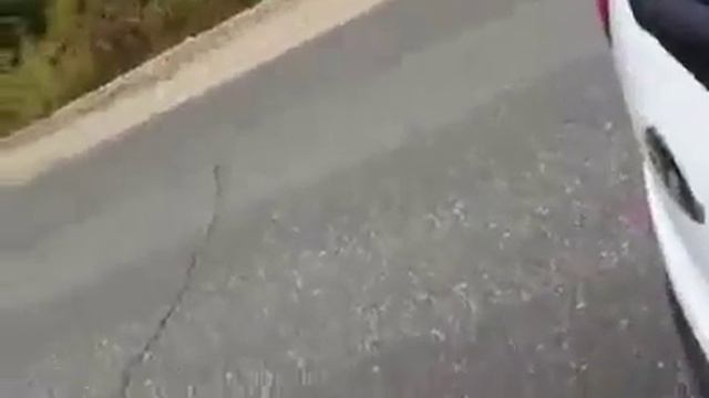 Братишка Михалыч или как мы встретили медведя на трассе! смотреть онлайн