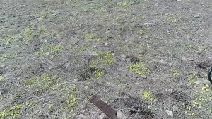 Итоги весеннего металлокопа 2022.mp4