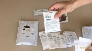 Burpee Flower and Vegetable Seeds Unboxing