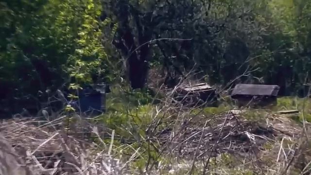 Песня про деревню 2022 ✮ Слеза скатилась - Александр Закшевский. смотреть онлайн