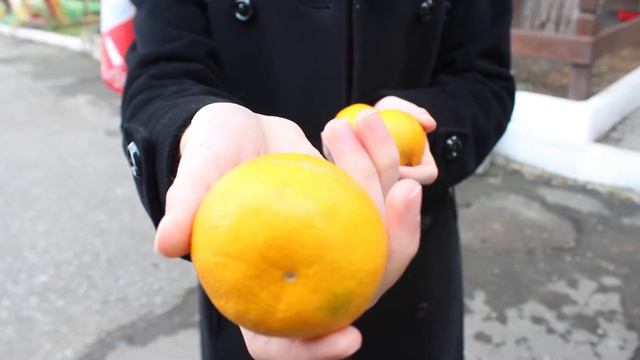 Практическая работа №1 «Эффект Кулешова» Прокуда О О смотреть онлайн