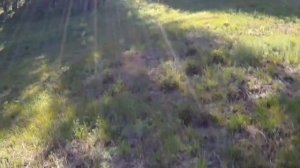 Попытка подняться в гору и падение мотоцикла