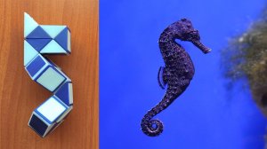 МОРСКОЙ КОНЁК из змейки Рубика ? схема сборки. Фигура № 91