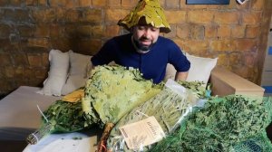 Веник для бани. Секреты, советы и рекомендации по подготовке, уходу и хранению