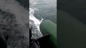 лодочный мотор сузуки 6л.с. лодка boatmaster