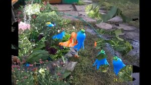 Поделки из пластиковых бутылок - цветы из пластиковых бутылок