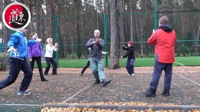 Отработка 42 форм Тайцзицюань смотреть онлайн