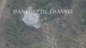 Удар Ланцета по замаскированной САУ ВСУ. Херсонское напр./Strike at the ukrainian SPH by Lancet UAV