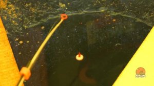 Ловля карася зимой на мормышку со льда