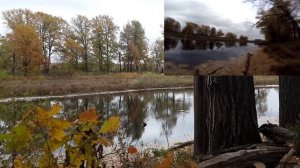 Щука. Заливные болота.