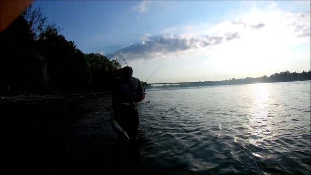 РЫБАЛКА НА СЕЛЕДКУ В ЛАВАЛЕ КАНАДА 2020 смотреть онлайн