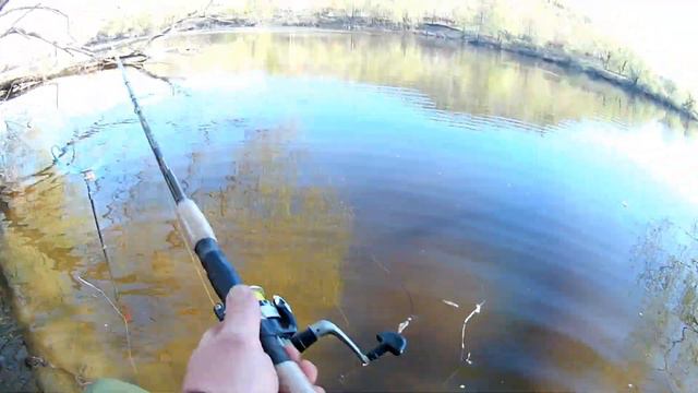 Весна 2023 бонус на фидер смотреть онлайн