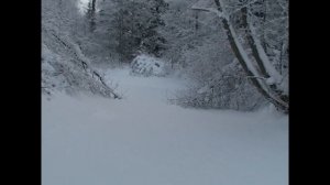 Бортоповоротные вездеходы Планетоход, ДИФ-1