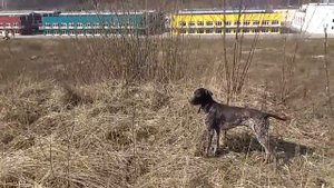 Тугая подводка