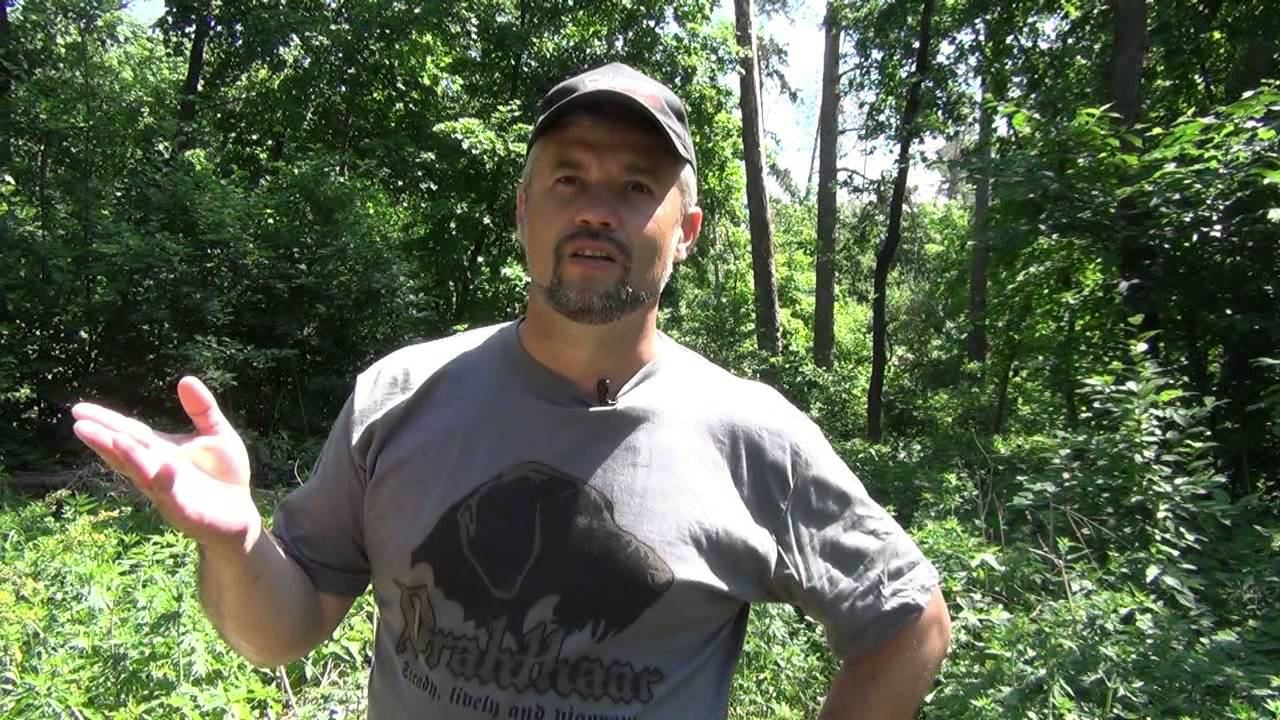 Серия 14 - пара слов о подсадном перепеле смотреть онлайн