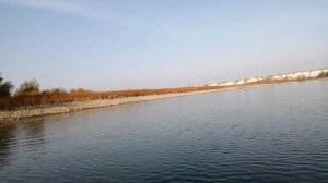 Ловля щуки на Дону, небольшой отчёт....