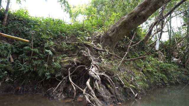 Survival Alone in the Forest - Bushcraft Camp, Fishing Catch Fish For Food - LIVING OFF GRID Ep.22 смотреть онлайн