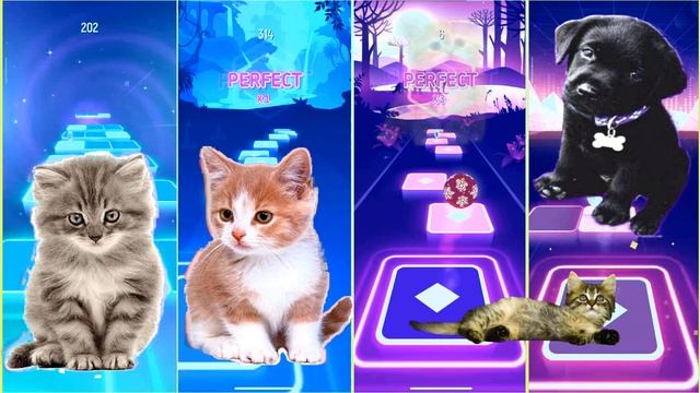 Cute Cats Vs Cute Black Dog Vs Cute Puppy Lady Gaga Blody Marie Vs Bongo Cat LISA MONEY TILES HOP#2 смотреть онлайн