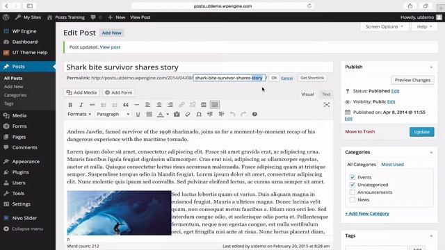 WordPress Posts Training: 5 - Slug and author смотреть онлайн