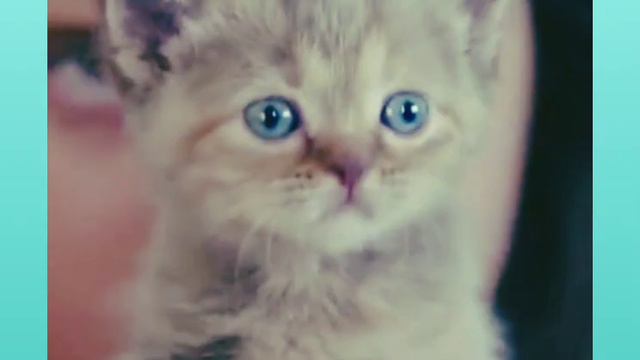 попыталась сделать что то интересное. и получилось! ставь 👍 если понравилась. смотреть онлайн