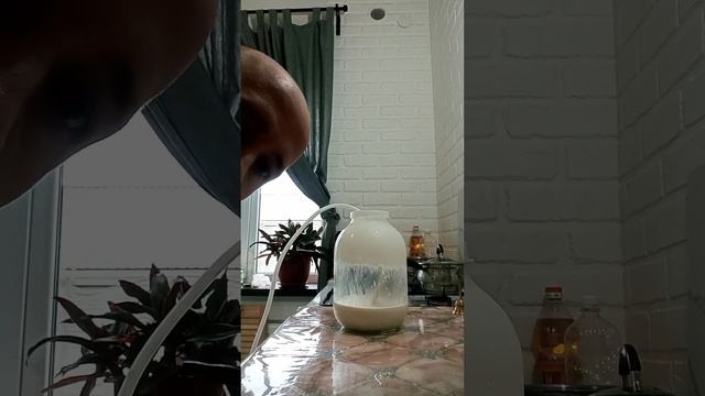 Как мы делаем масло дома ??