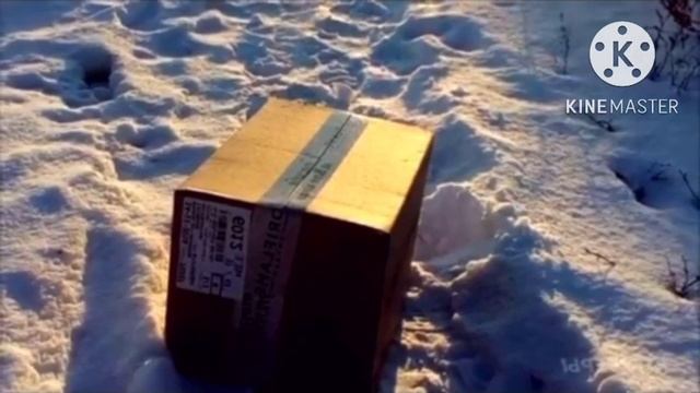 В кафе пришла бездомная кошка… Её новорождённым малышам требовалась помощью смотреть онлайн