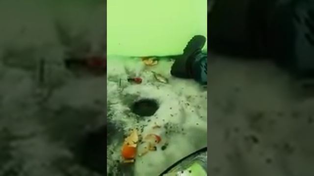 Рыбалка на первом озере1 смотреть онлайн