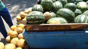 Соль-Илецк 2019! Покупаем арбузы  дыни! Отдых в Соль-Илецке!