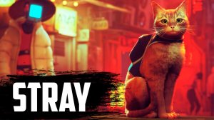 ТРЕШ - ОБЗОР ( STRAY )