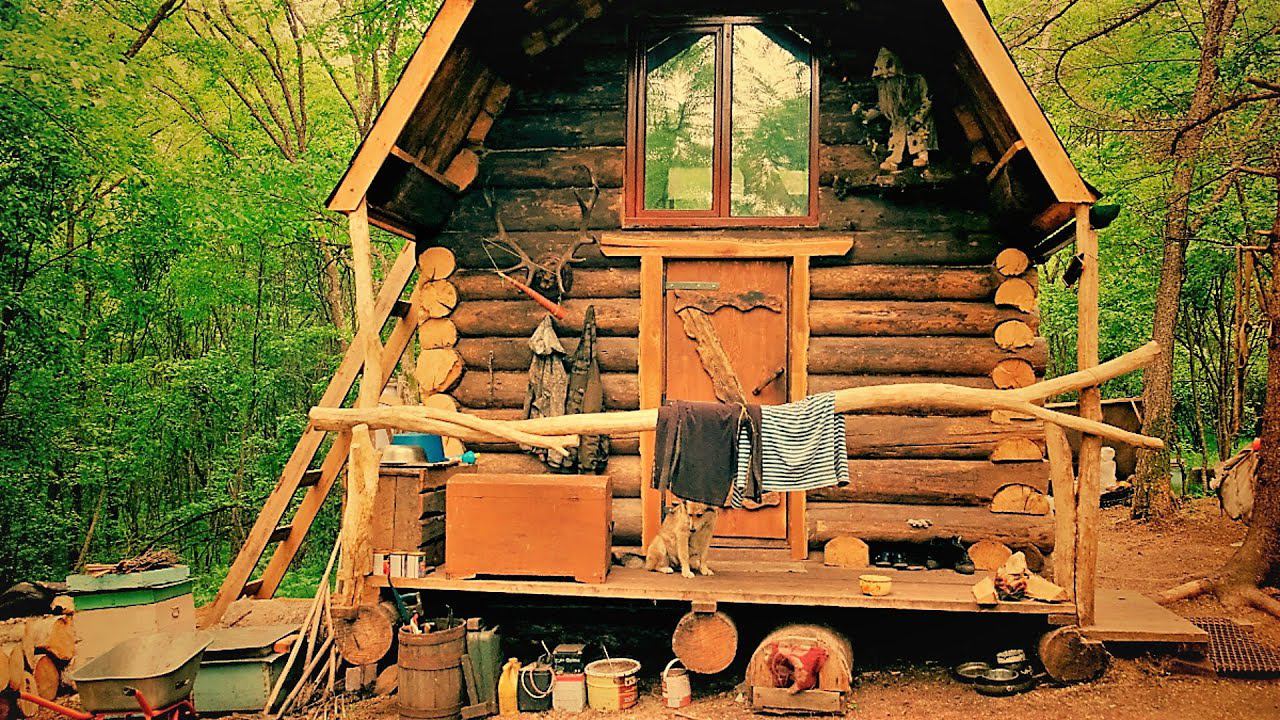 ПРИШЕЛ ЗВЕРЬ НА СОЛОНЕЦ, А ТАМ ОХОТНИК НА ДЕРЕВЕ. Быт в тайге, и тяжелая дорога домой. смотреть онлайн