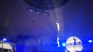 Цирк в Краснодаре. Новогодний карнавал. Соня первый раз в цирке.