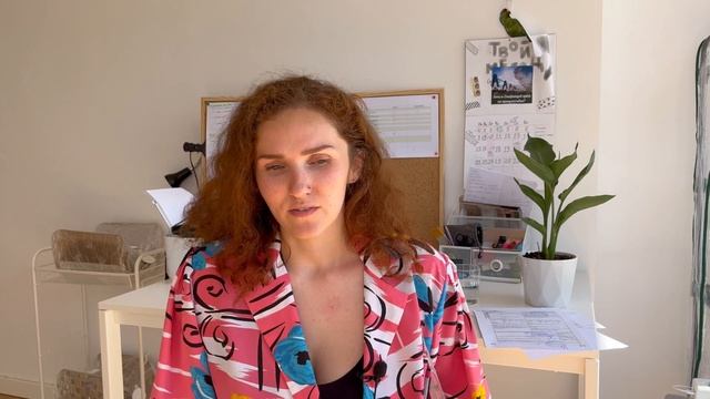 Перелёт с кошкой из Москвы в Португалию через Турцию и Грецию в 2022 году