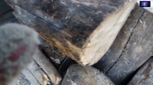 #Электропила цепная #Hammer Flex CPP1800D в работе