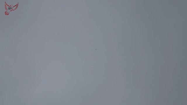 Голуби. Очень крупный молодняк. смотреть онлайн