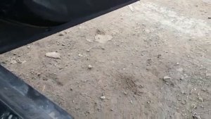 Ford Focus 3 работа двигателя