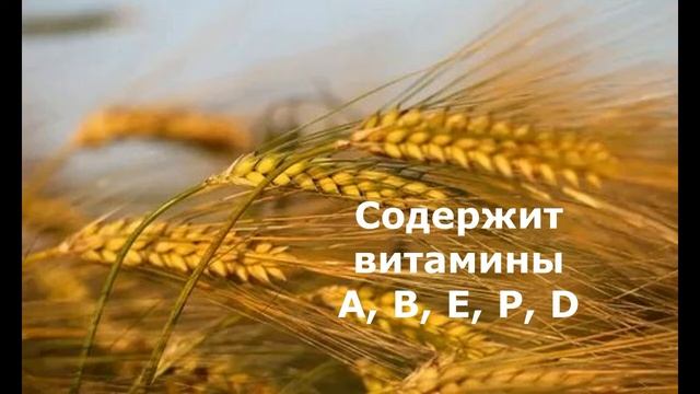 Чем полезен ячмень.