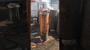 Делаю колоды и борти для пчёл методом выжигания