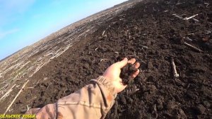 Подготовка Почвы к Посевной Озимых 2021/Рыхление почвы к Севу Озимых/Дискование поля.