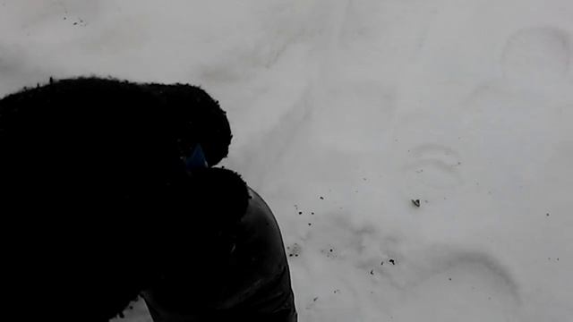 Мороз -20. 1 января 2016 г. Тест текучести отработанного масла Valvoline SynPower 5w40 смотреть онлайн