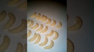 Опарыш силиконовый для рыбалки