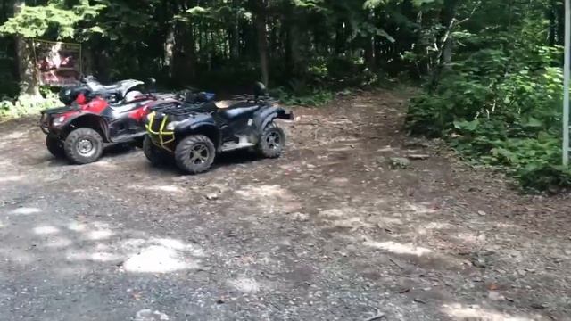 VLOG. ВЫХОДНЫЕ В ГОРАХ АДЫГЕИ. ЯДОВИТОЕ РАСТЕНИЕ. смотреть онлайн