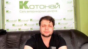 Зачем нужна капельница животным? Инфузии кошкам и собакам