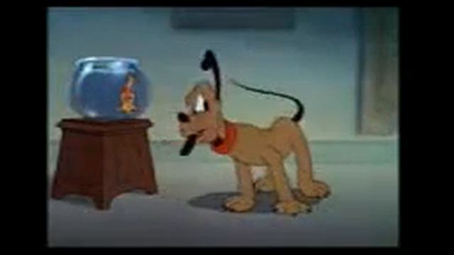 Микки маус - Попугай Микки